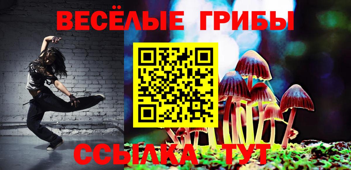 Галлюциногенные грибы прущие грибы Казань