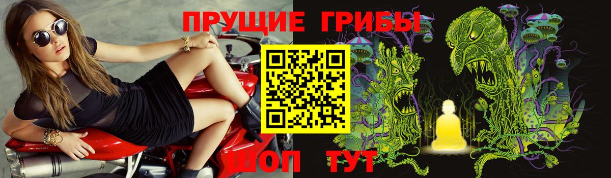 Казань  Галлюциногенные грибы MAGIC MUSHROOMS  Вход с VPN 